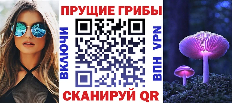 Галлюциногенные грибы Cubensis  Усть-Джегута 